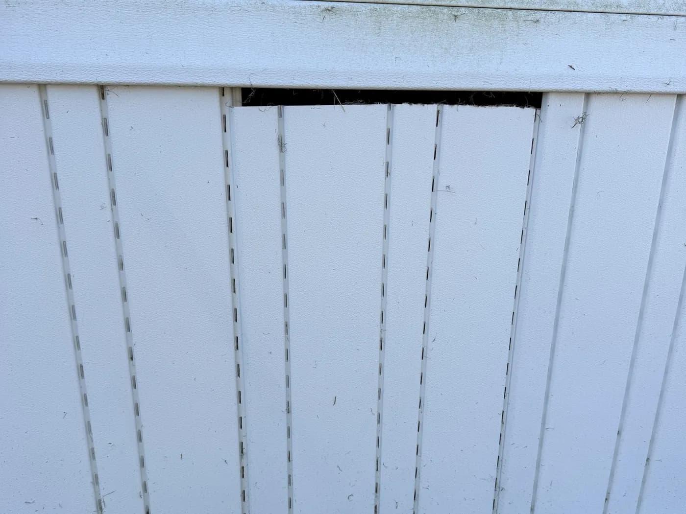 White vinyl skirting with one panel dropped out of the top rail, leaving a dark gap into the crawl space with insulation showing.